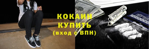 крисы Балахна