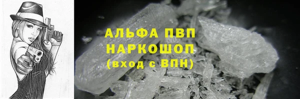 крисы Баксан