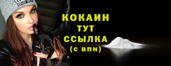 крисы Баксан