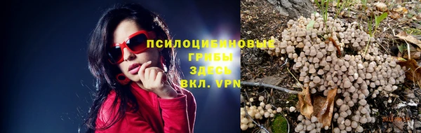 крисы Балахна
